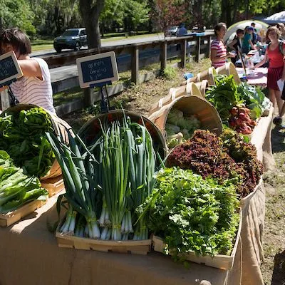 thumbnail for publication: Opinion Leadership and the Perceived Health Benefits of Local Food